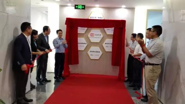 (图1)