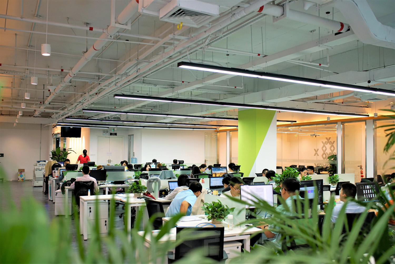 (图2)